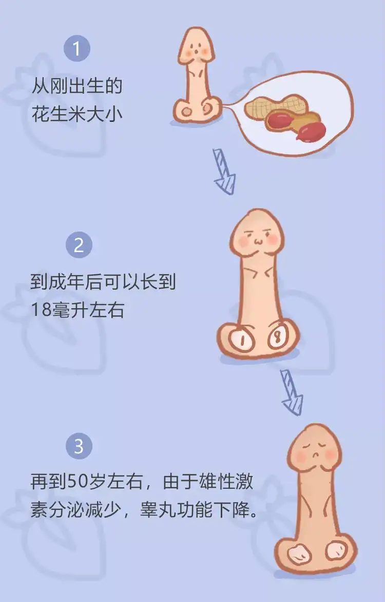蛋蛋小1 分钟就缴械了？多大算大，多小算小？ - 知乎