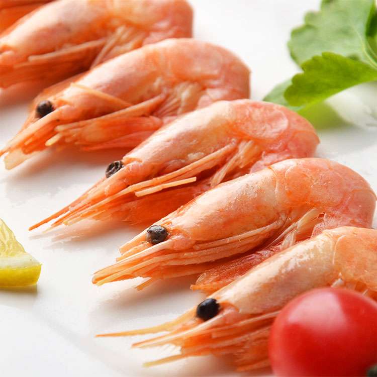 海买进口海鲜分享北极甜虾的相关知识 知乎