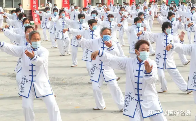 祝贺！12年的等待，“太极拳”终于申遗成功了！（太极拳申遗成功央视） 第4张