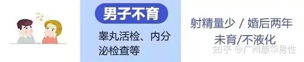 成都最大供卵机构（男性不育症好治吗?番禺男科科普）