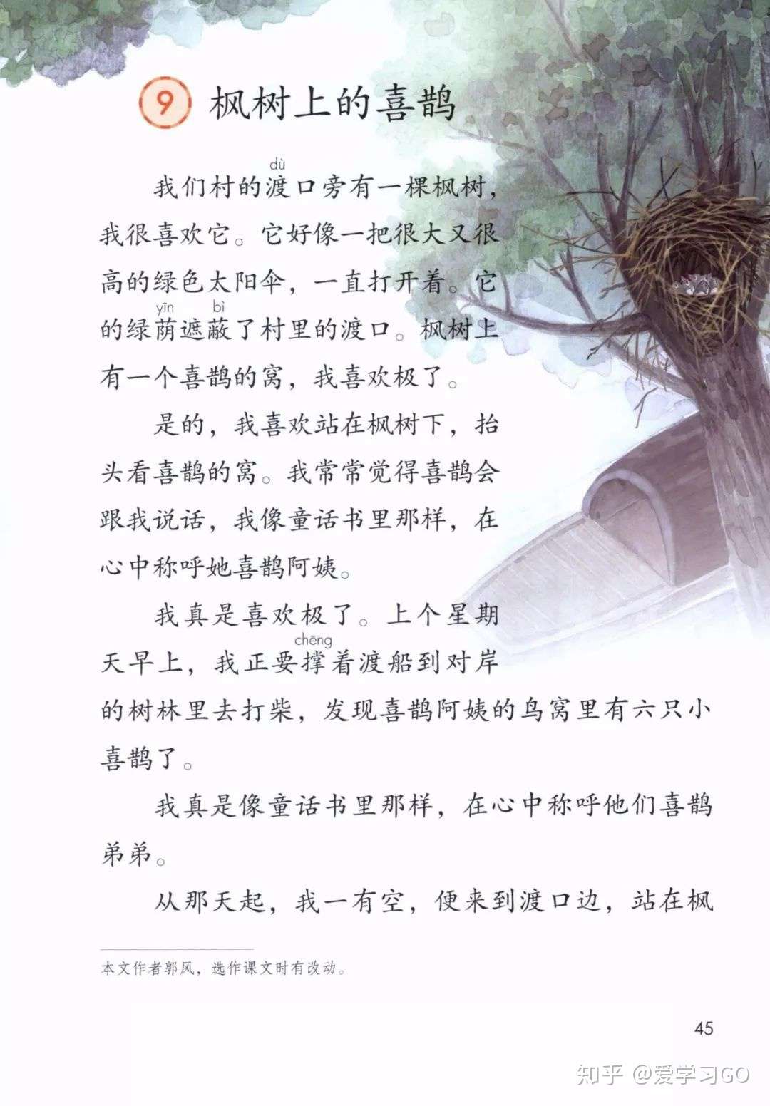 部编版二年级下册第9课 枫树上的喜鹊 图文讲解 知识点梳理 知乎