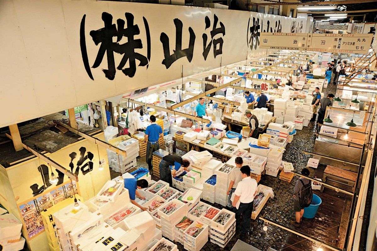 东京筑地市场 你爱拆不拆 知乎