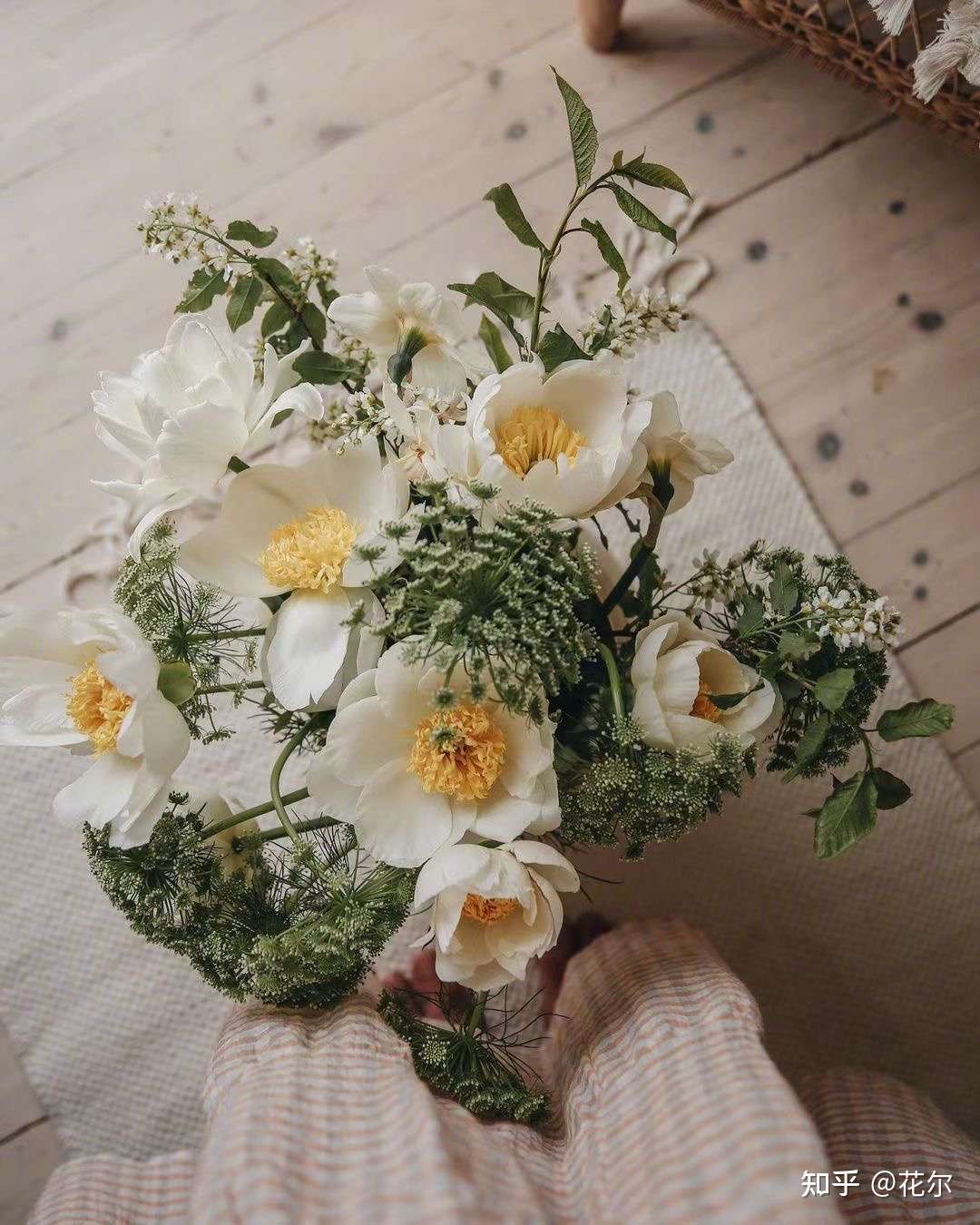 花艺培训 干货 17种夏日鲜切花养护大全 让你的鲜花美的更久 知乎