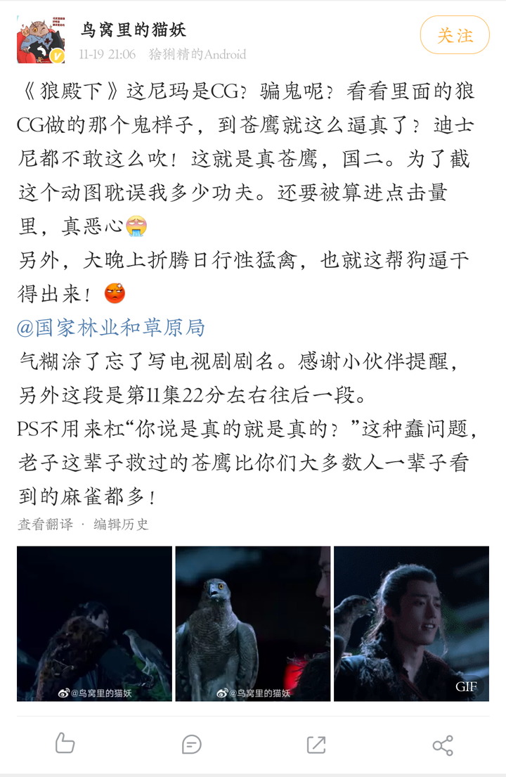 如何评价王大陆李沁主演的电视剧狼殿下