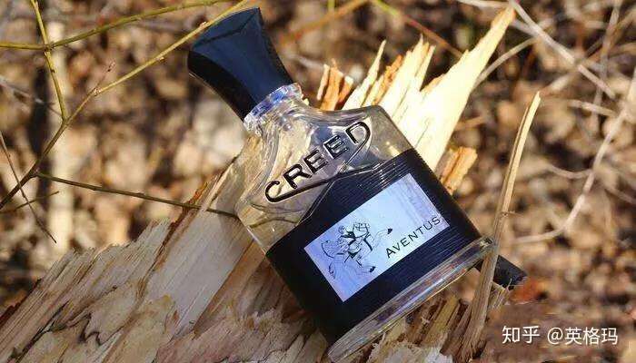 creed aventus 19p21