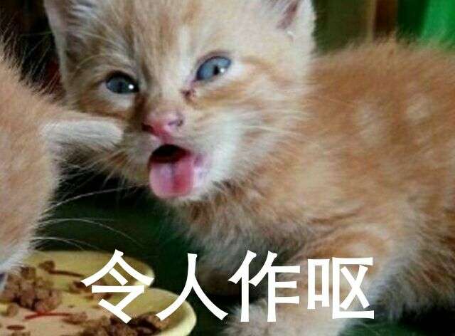 如何评价应用最右