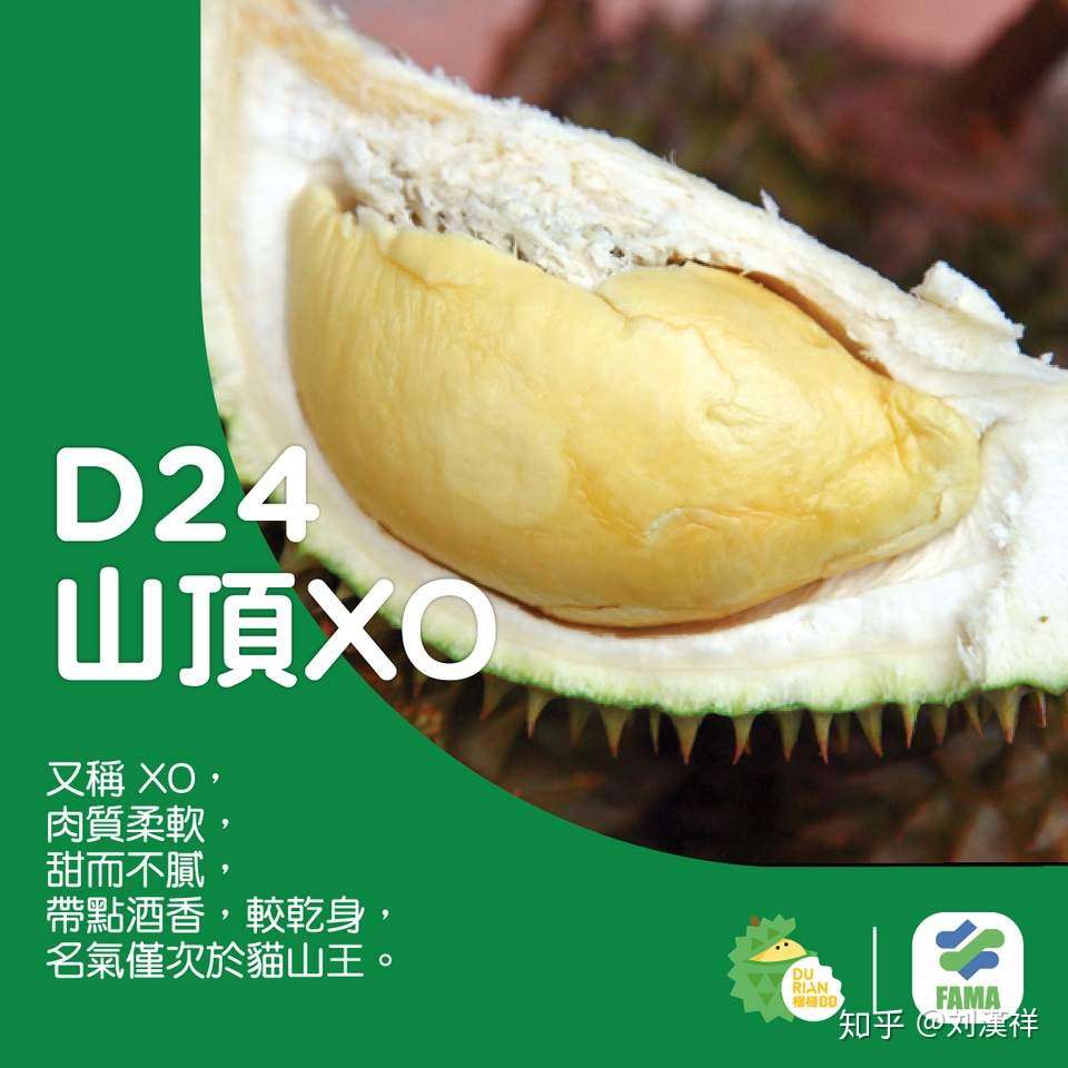 麦当劳d24榴槤麦旋风系列回归 浓厚版 终极特浓版同步登场 Nestia