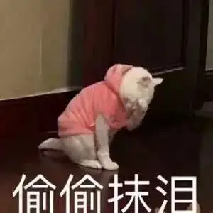 我妈 微信头像不能用猫 马上换掉 知乎 我妈 微信头像不能用猫 马上换掉 知乎