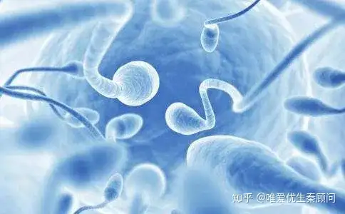 成都坤和助孕靠谱吗（难以置信）