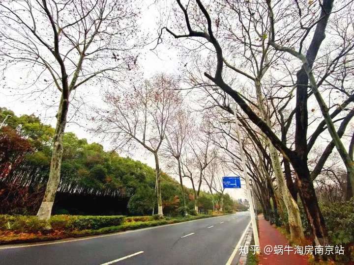 一条幽静的环陵路,半部南京的豪宅史!