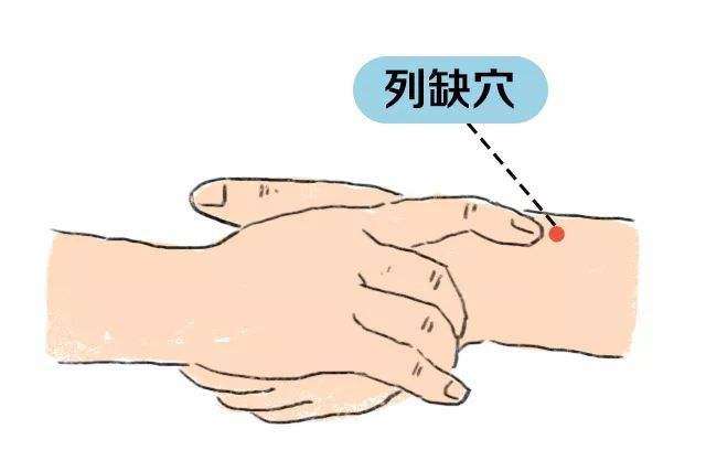 人了解并远离心脑血管疾病 列缺穴归属手太阴肺经,有缓解治疗咳嗽气喘