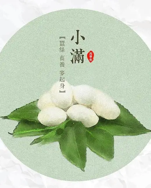 二十四节气之小满，你了解吗？