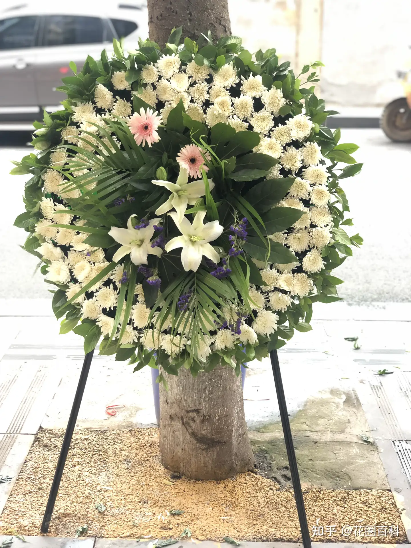 追悼会送什么颜色花 黄色 白色体现素静庄重 知乎