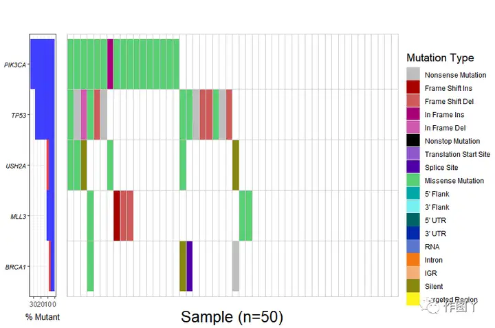 genvisr 绘制全基因组突变景观图
