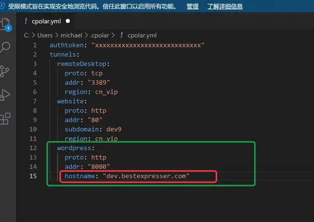 为在Windows上搭建的WordPress博客网站配置自己的域名，并实现公网可访问(图10)