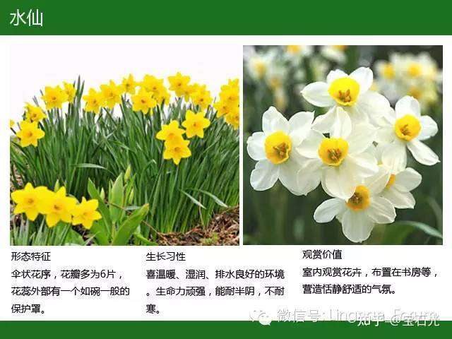宝光天 紫云阁仙境 引导词 2 知乎