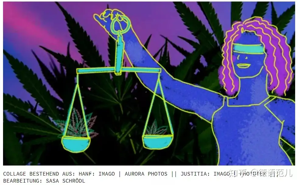 大麻合法化 为什么没有用marihuana或haschisch 知乎