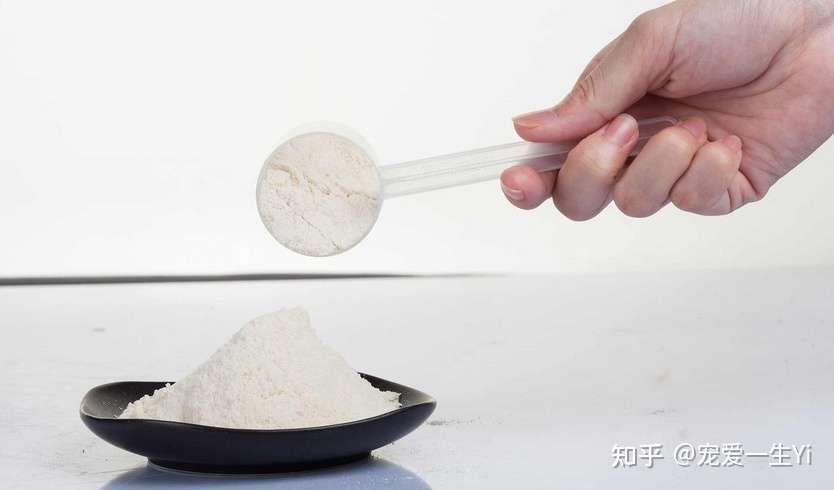 约克夏什么时候来月经 知乎