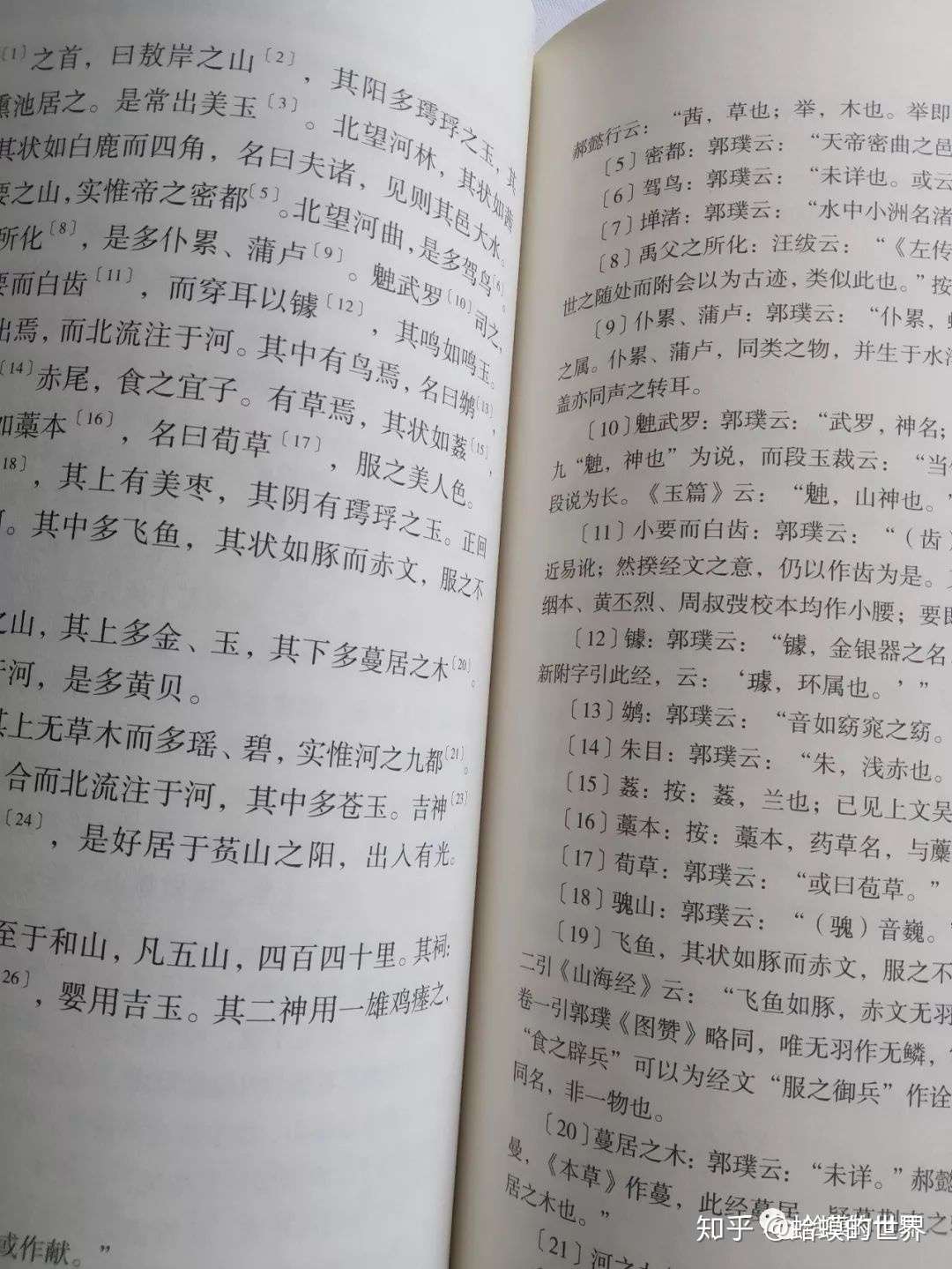 蛤蟆读书第四 山海之间的信仰 知乎