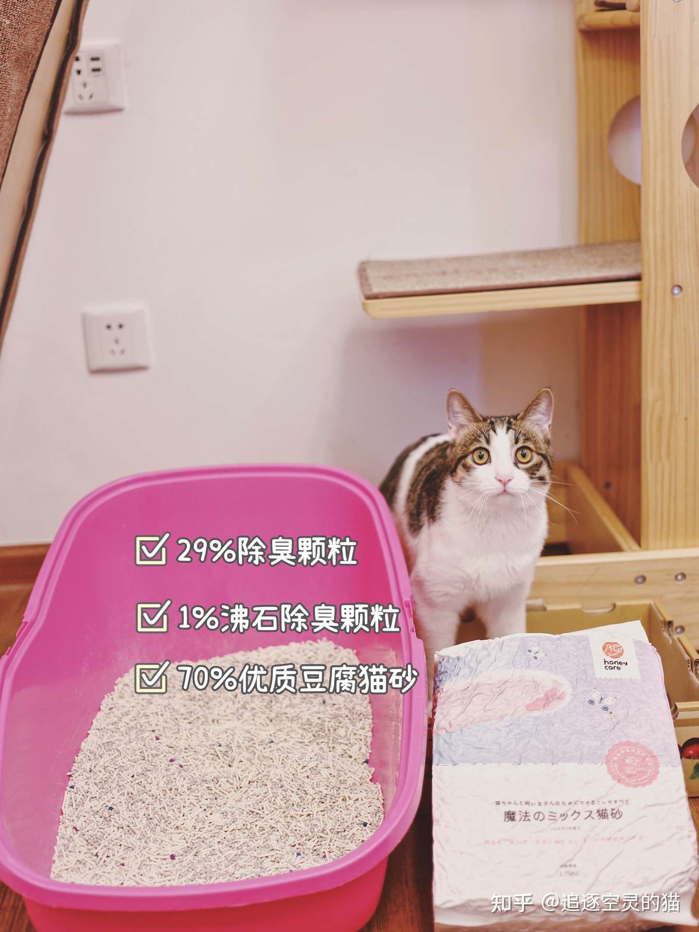 多猫家庭值得回购的猫砂 Honeycare魔法猫砂 知乎