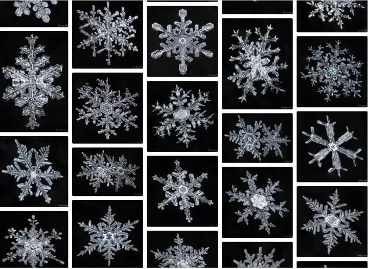 This American claims to have taken the highest-resolution photo of a  snowflake ever 