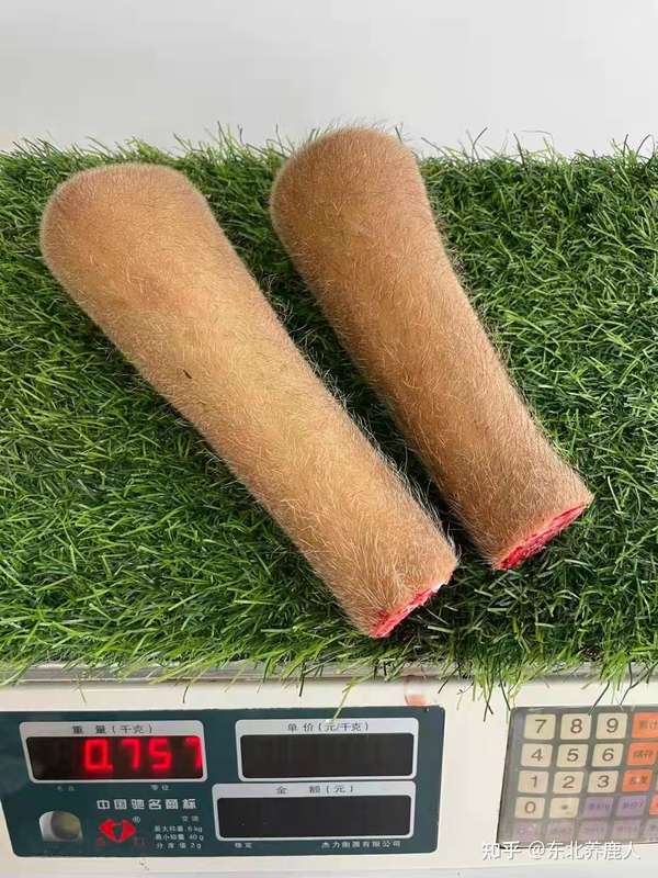 东北养鹿人 的想法: 近十年最大的一对儿毛桃茸! - 知乎