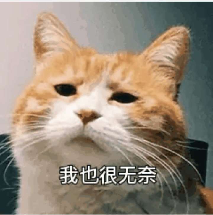 有没有很骚的文案? 有点污污的文案:我曾摸过高山插图7 有没有很骚的文案? 有点污污的文案:我曾摸过高山插图7