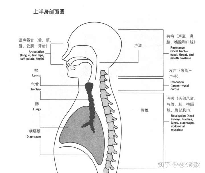 唱歌声音走向示意图图片