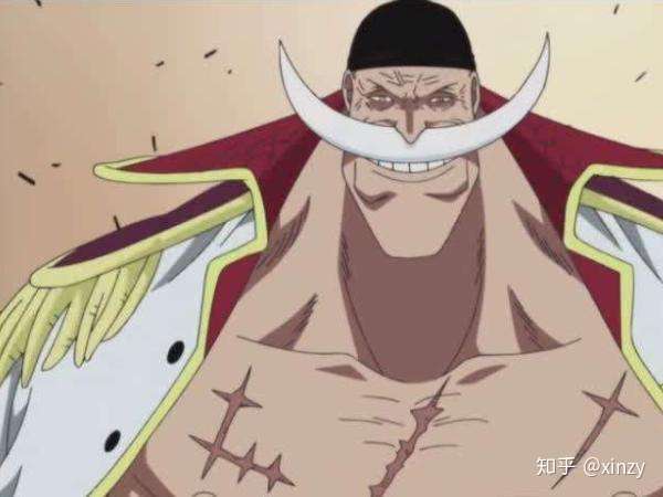 白胡子二世真的是白胡子的儿子吗?