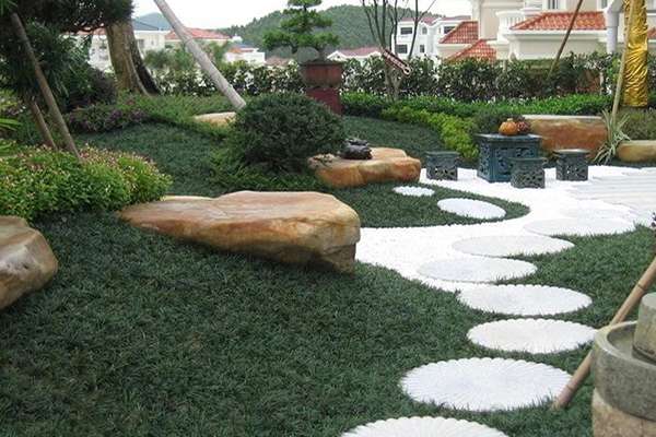 日式庭院栽种什么植物才有特色 知乎