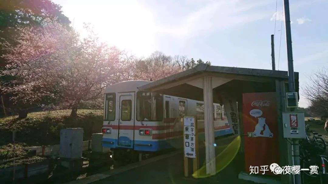 语法 はず和わけ 知乎