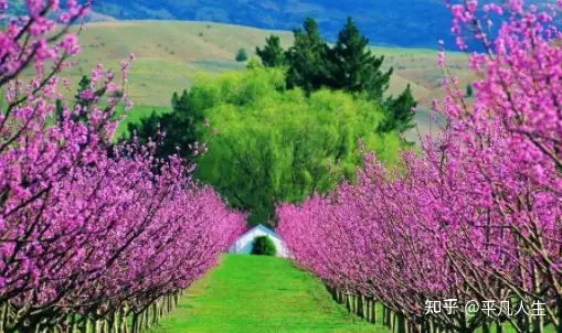 新征程的励志句子怎么说？（新的征程励志诗句）