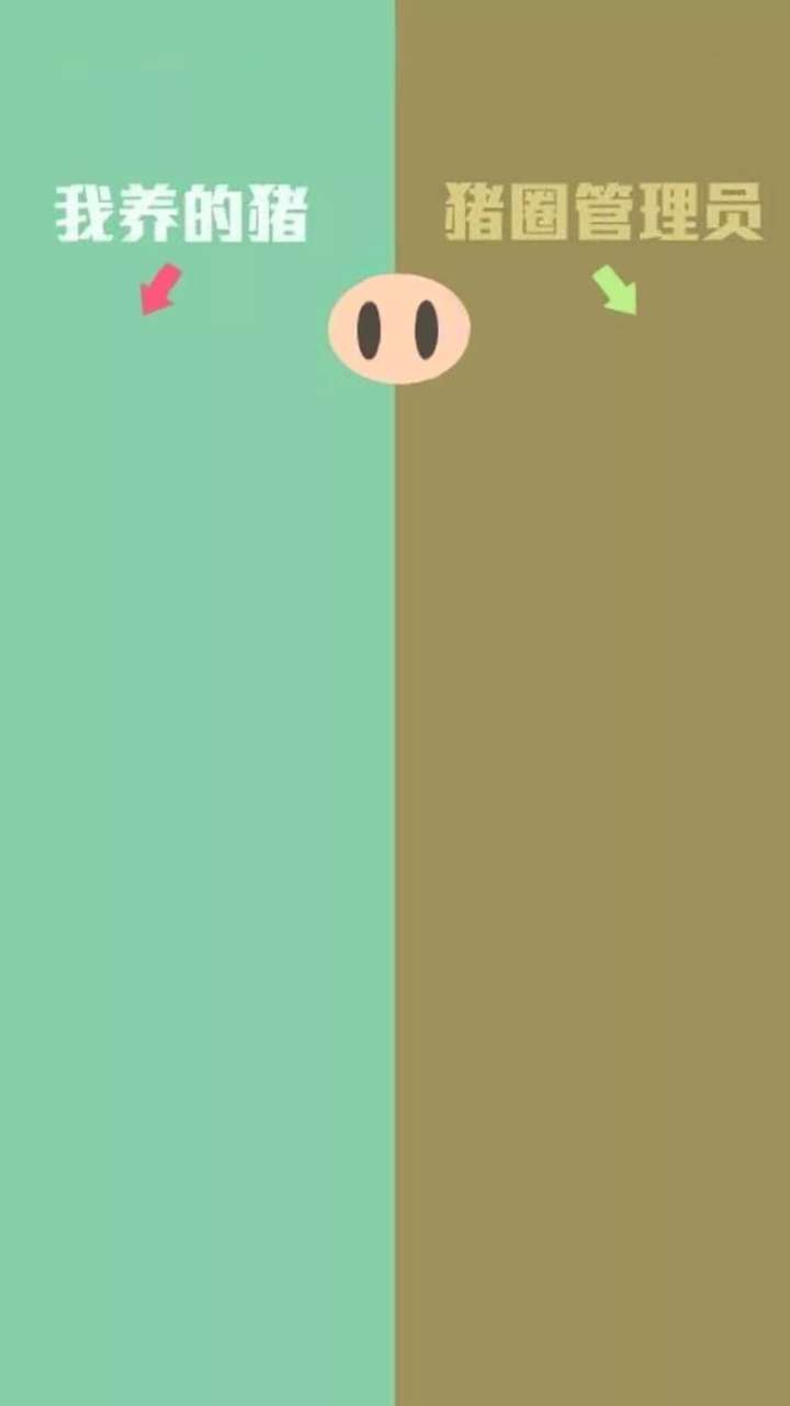 — 评论区很多朋友想要聊天背景图