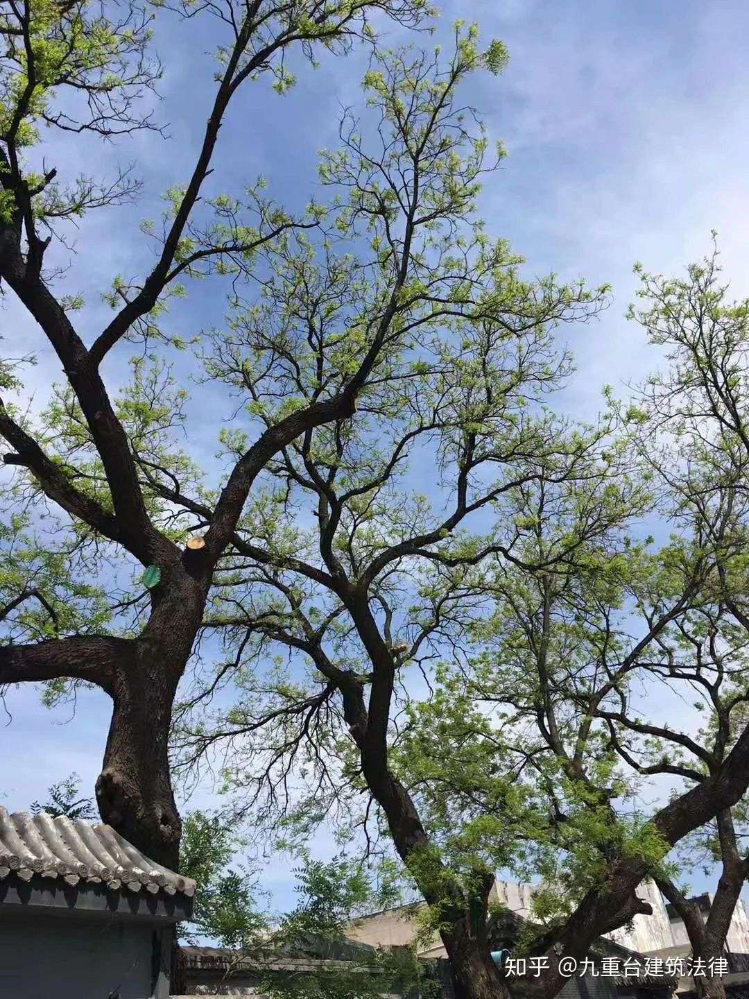 愿我如星兄如月 知乎 愿我如星兄如月 知乎