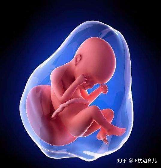 怀孕八个月 胎儿有四个体现 可能在说 妈妈 宝宝不舒服 知乎