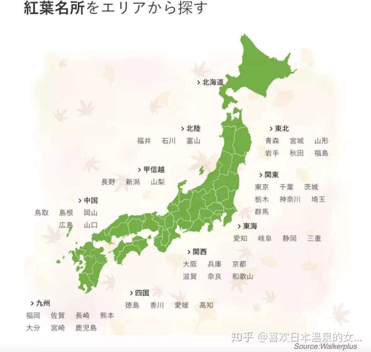 一叶知深秋 最强枫叶攻略打卡地 要不要一起去转转呢 知乎