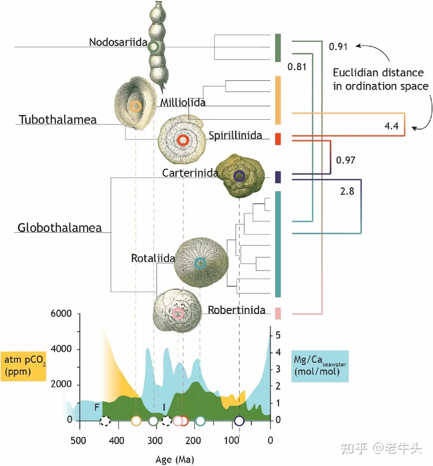 古生物新闻（2023年8月14日-8月27日） - 知乎