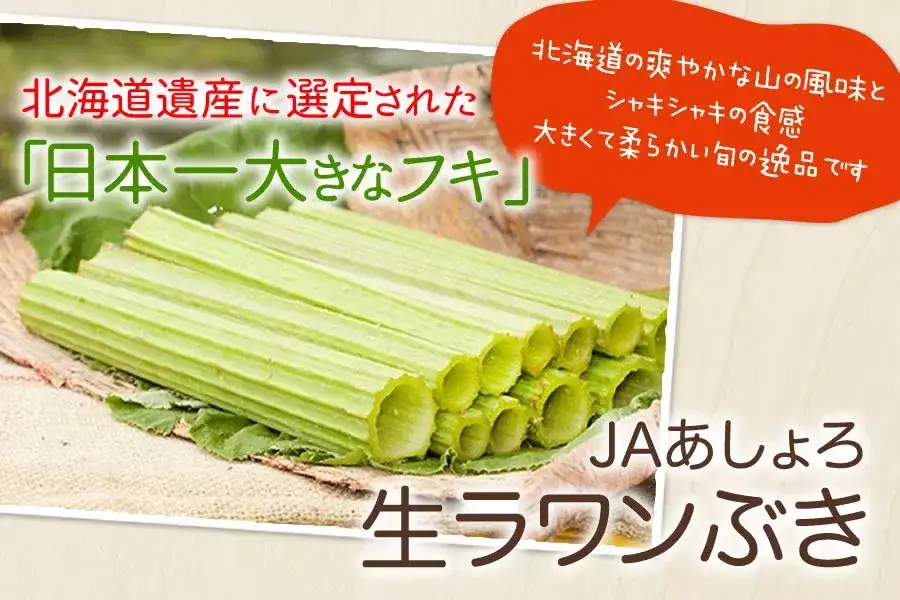 食野之苹 柒 秋田蕗 知乎