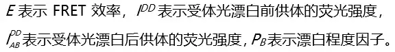 《荧光共振能量转移常用分析方法》