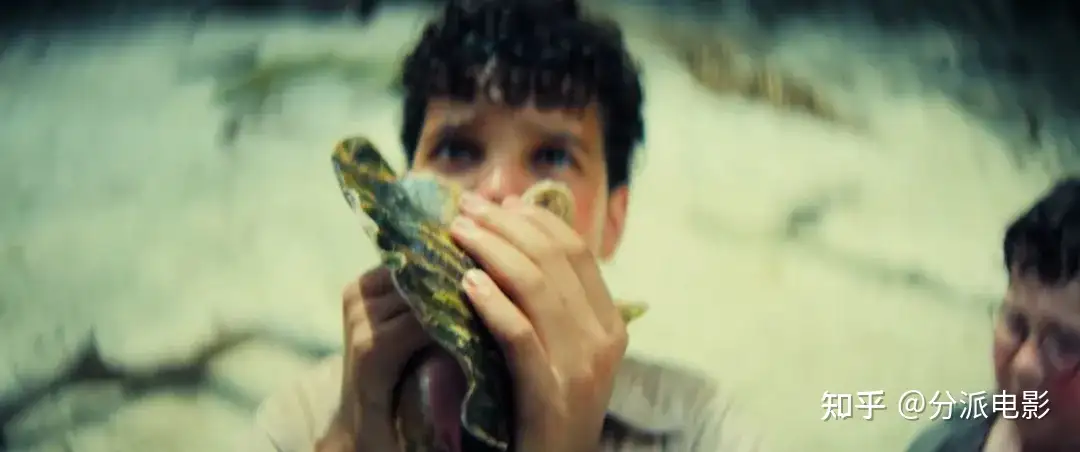 看完BBC这部新剧《蝇王》又睡不着了！