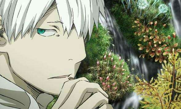 其次是剧情同系列的《虫师》 每一集都是精品 非常感人 男主我也超爱