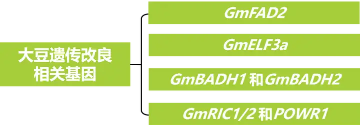 《盘点那些与大豆遗传改良相关的基因》