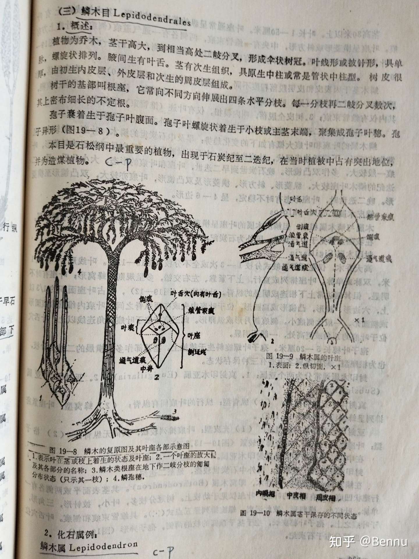 书 1976年版 古生物学 知乎