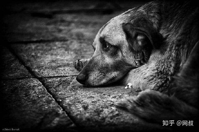 v2-3c1eb217e9fe572839b9fc06bfda4f83_720w.jpg?source=1940ef5c