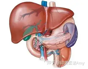 膽管癌再迎fgfr靶點新藥