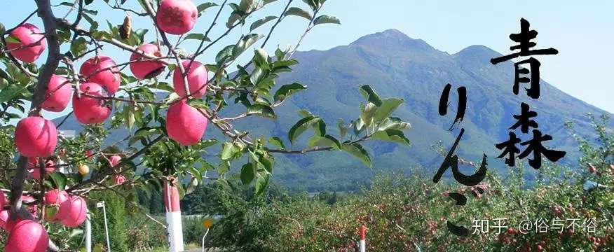 被遗忘的日本青森 这次要完美逆袭 知乎