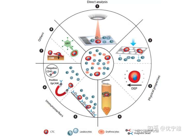 生物富集示意图图片