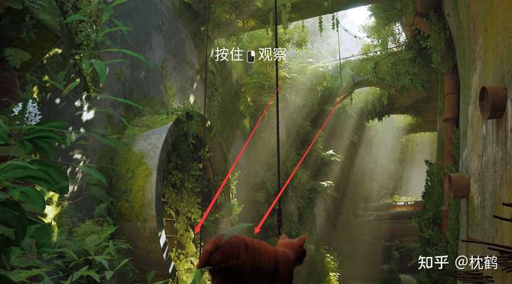 利用光束进行视觉引导