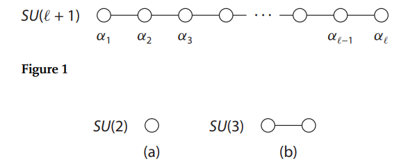 参考5