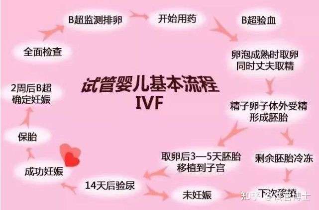 成都供卵助孕（试管婴儿详细流程 （建议收藏））